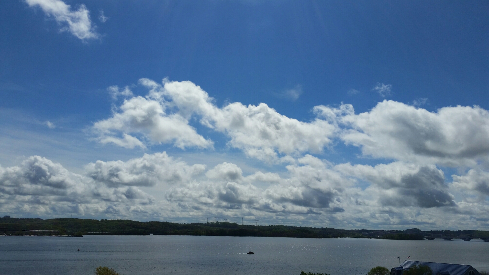 20150420_110908.jpg image